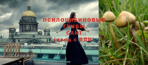 амф Заводоуковск