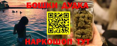 дмт Новодвинск