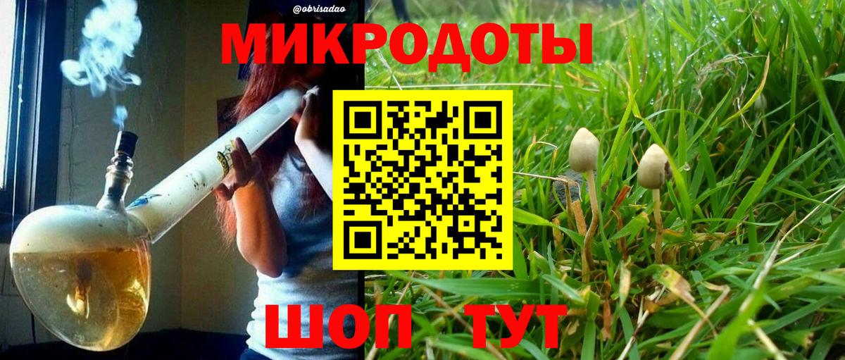 Липецк  Псилоцибиновые грибы Psilocybine cubensis  Вход с VPN  Галлюциногенные грибы Psilocybine cubensis 